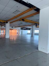 Loyang Industrial Estate (D17), Factory #561504821